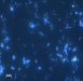 o_Microbial communities